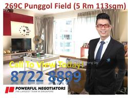 punggol-field photo thumbnail #5